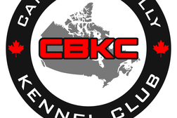 Canadian Bully Kennel Club