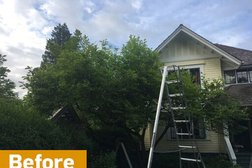 Ash Grove Tree Solutions Inc. - Arborist Vancouver